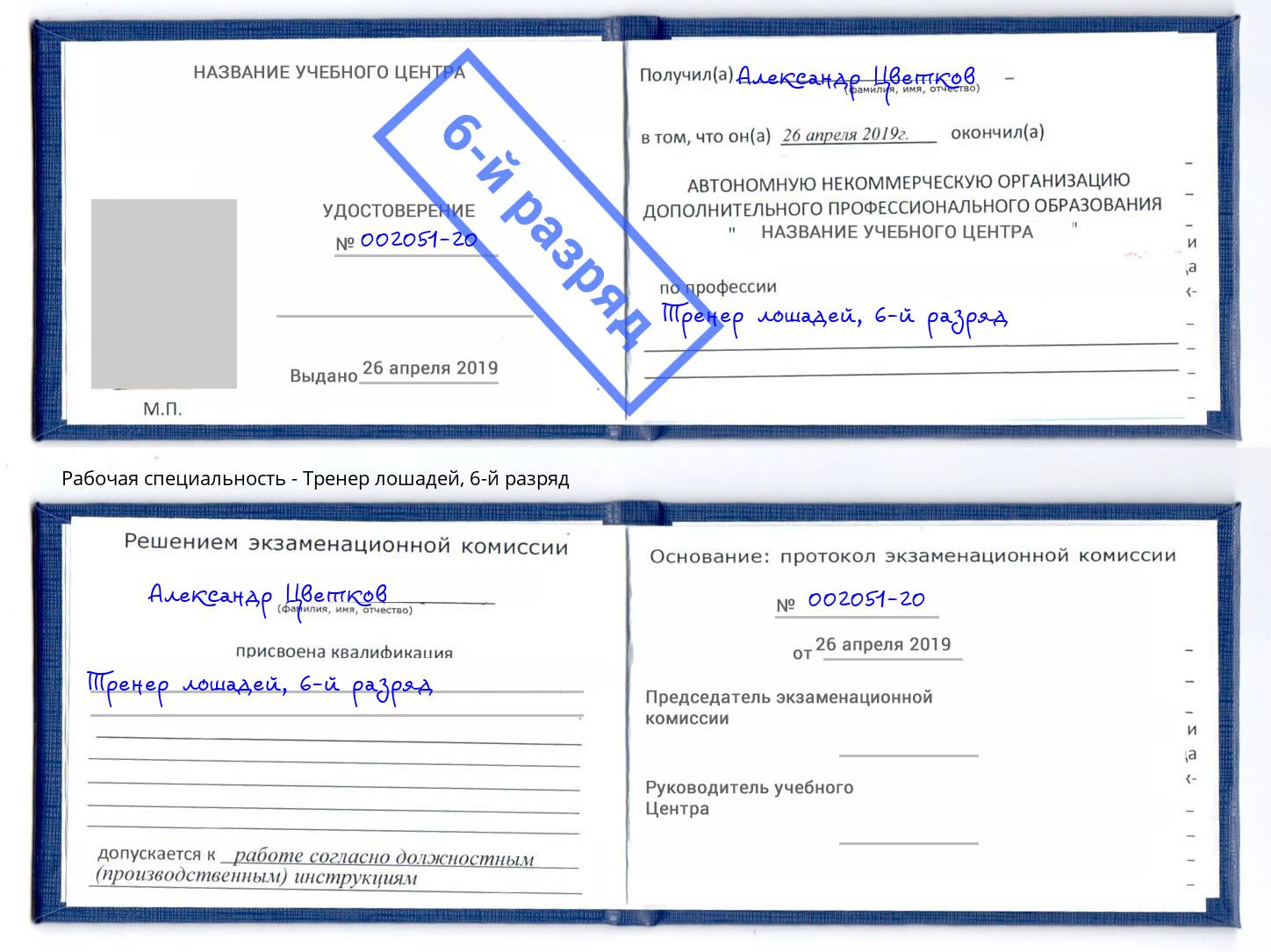 корочка 6-й разряд Тренер лошадей Кунгур